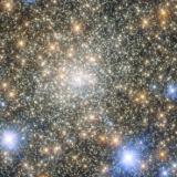 热爱大自然瞌睡虫