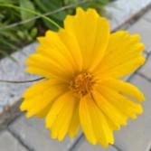 琪琪妈的成长经