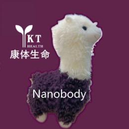 纳米抗体养驼人