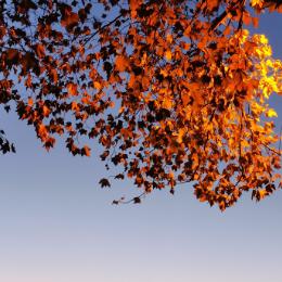 暑期社会实践团