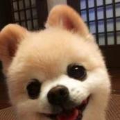 我是你的全世界