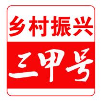 乡村振兴三甲号