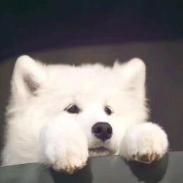 单机游戏推荐