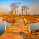 小召妹养生厨房