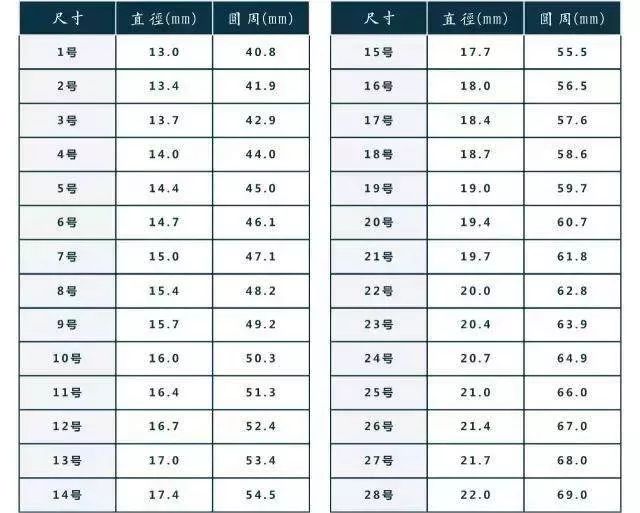 分寸示意图图片