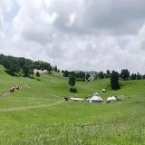 龙哥影视007