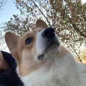 聚焦美景看神州