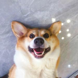 叶仔户外世界游vlog