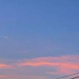 胖嘟嘟最爱吃橙子