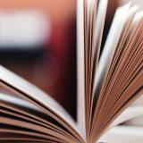 老狼爱上小绵羊