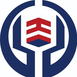 山东鼎象信息科技