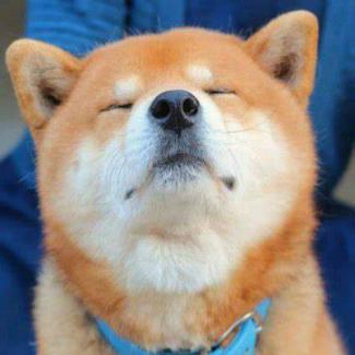 赴桐城市防诈宣传小分队