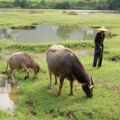 hjx我心依旧故事汇