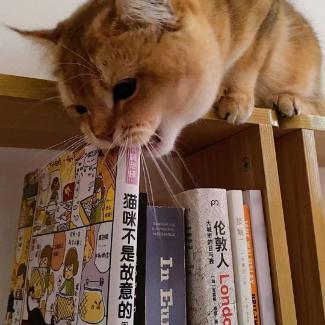 刘老师完全极简知识