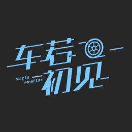 车若初见