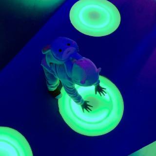 人类幼崽研究笔记