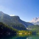 柚子君娱乐日常