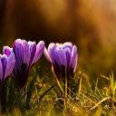 梁同学的智能家