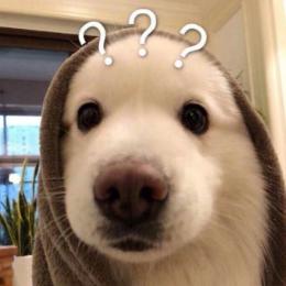 科学视角看世界