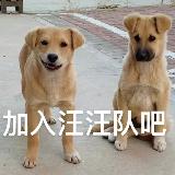 曹馨予