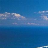 郑哥的菜园生活