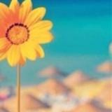 林小优校园生活