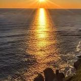 新时代的两性情感