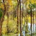 爱游戏可恶的谢宝