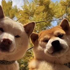 寥落的话
