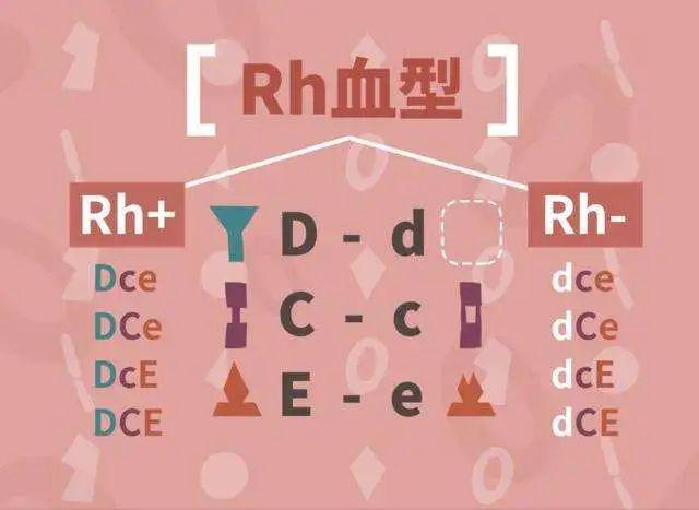 事儿吧~所以今天咱们就一起聊聊主角马有铁的血型就是rh阴性血好巧