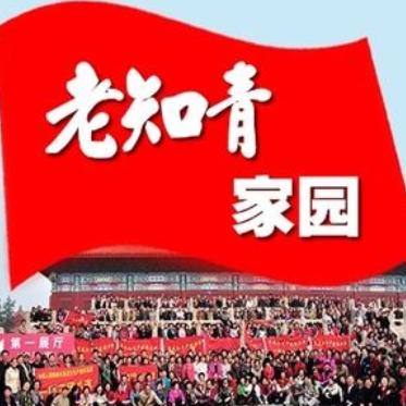 老知青家园