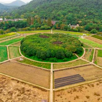 三合大咖小周公