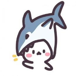 小陈陈日常分享