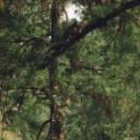 给妈妈做饭的美宝