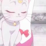 博士伦益智游戏