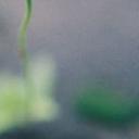 莉莉纪实故事会