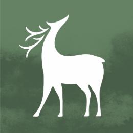 鹿隐云艺艺术课堂