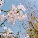 乡村手工人雪哥