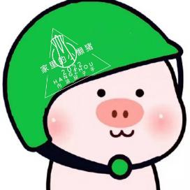 家里的小懒猪