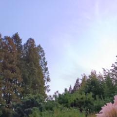 一说烟雨任平生