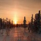 海牧牛坊家的牛