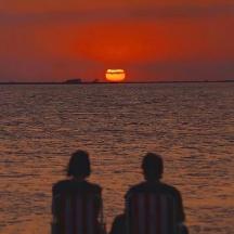 兔妈妈的生活记