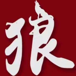 老狼聊财经