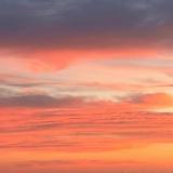 幸福快乐一大家