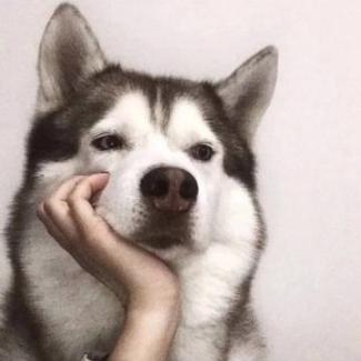 思考人生的狗子