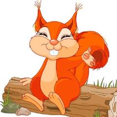 松鼠的搞笑日记