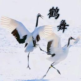 鹤舞视界