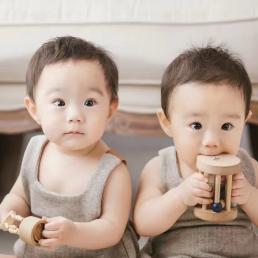 禾苗哥哥豆苗弟弟