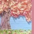 米哥小动画