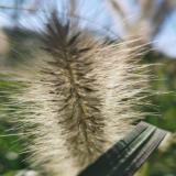 住在隔壁的磊哥